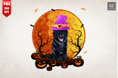 Shepherd Dog Witch Hat Halloween