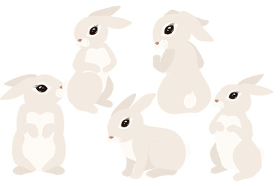 Rabbit Illustration - Rabbit Symbol 2023