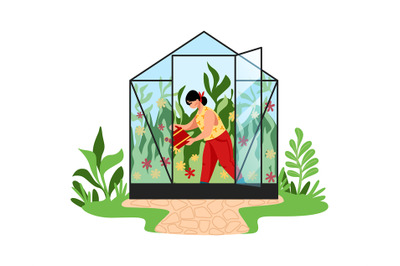 Woman works in garden. Cartoon female watering plants in greenhouse. A