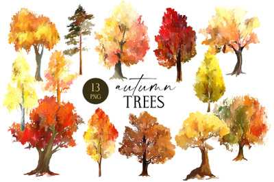 Autumn isolated Trees PNG, Forest trees Clipart
