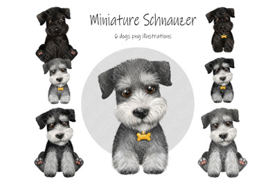Miniature Schnauzer. Watercolor dog clipart, puppy portrait, cute dog