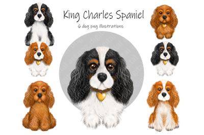 King Charles Spaniel clipart png. Gift for dog lovers PNG.