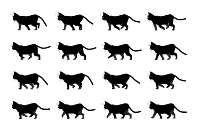 Cat walk animation. Domestic animal silhouette. Walking black kitten w