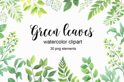 Green leaves watercolor clipart PNG