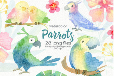 Watercolor Parrot Clipart - PNG Files