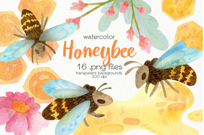 Watercolor Honeybee Clipart - PNG Files