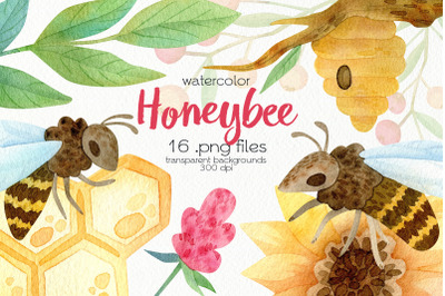 Watercolor Honeybee Clipart - PNG Files