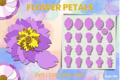 Flower Petal SVG Bundle