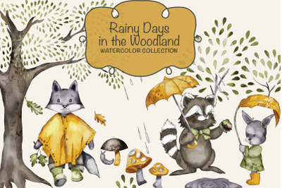 Woodland Animals Clipart Set