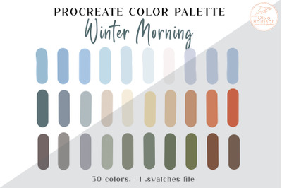Winter Procreate Color Palette. Winter Nature Color Swatches
