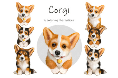 Corgi clipart. Watercolor Dog Clipart, Puppy Portrait, Cute Dog, Pet