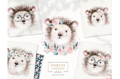 Watercolor woodland hedgehog animals portrait clipart PNG