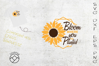 Bloom Where you are Planted