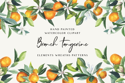 Branch tangerine, orange - watercolor set, clipart, png