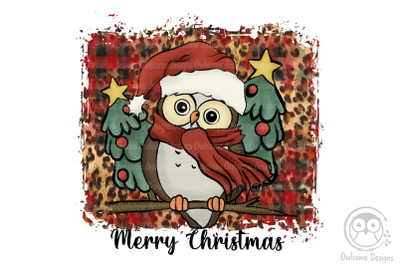 Baby Owl Christmas Sublimation
