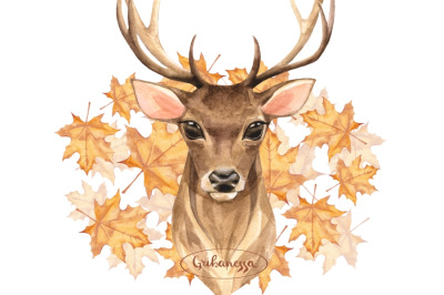 Noble Deer. Autumn clipart + pattern