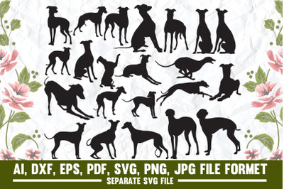 Greyhound Dog, greyhound, dog, whippet, dogs, sighthound, lurcher, ita