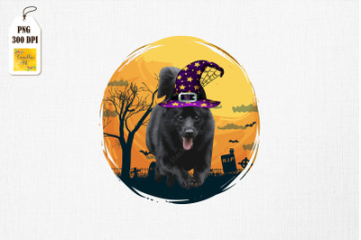 Halloween Schipperke Dog Witch Hat