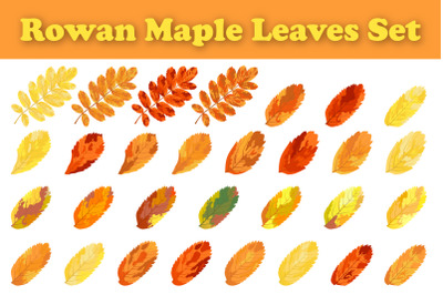 Autumn Rowan Leaf Set