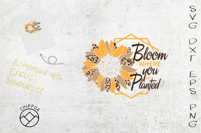 Bloom Where you are Planted