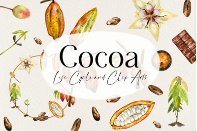 Watercolor Cocoa Life Cycle and Clip Arts