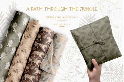 A Path Through the Jungle Collection
