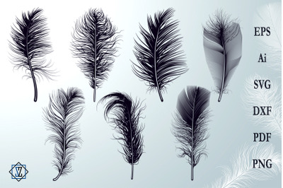 Fluffy Feathers/Silhouettes/SVG