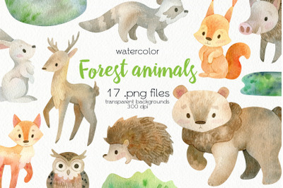 Watercolor Forest Animals Clipart - PNG Files