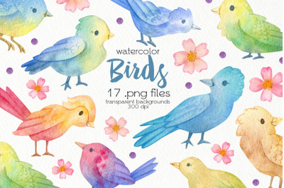 Watercolor Birds Clipart - PNG Files