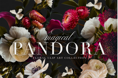PANDORA MOODY FLORAL CLIP ART GRAPHICS COLLECTION