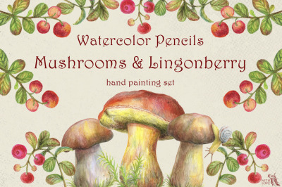Mushrooms &amp; Lingonberry Watercolor Set