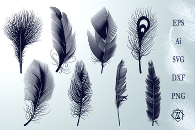 Bundle Feathers/Silhouettes/SVG