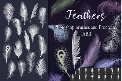 Realistic black feathers. Birds feather, quill swan or crow plumage el By  Microvector