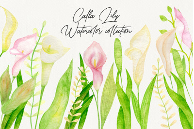 Watercolor Calla lily clipart set