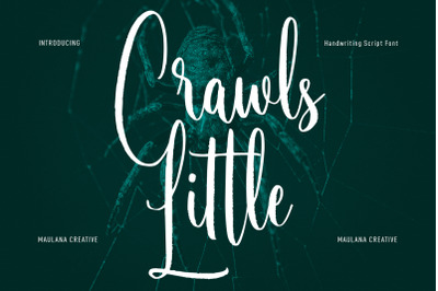 Little Crawls Script Font