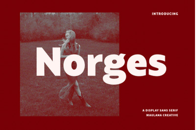 Norges Sans Serif Font