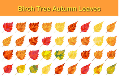 Birch Tree Leaf Set