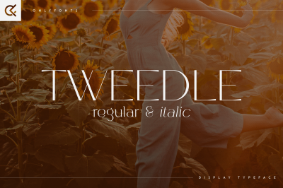 Tweedle - Display Typeface