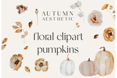 Autumn floral clipart, fall illustrations png, pumpkins