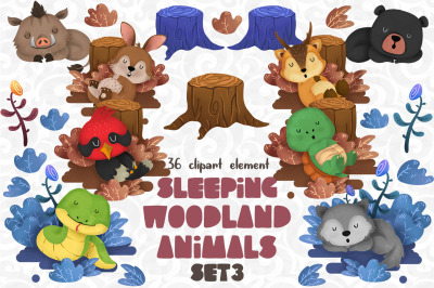 Sleeping Woodland animals 3