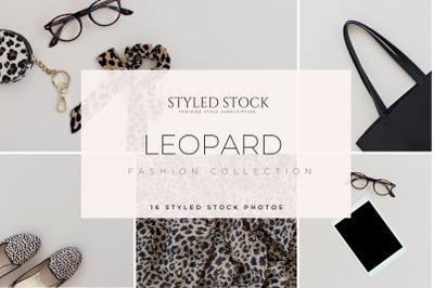 Leopard Styled Stock Photo Bundle
