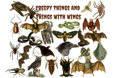 24  Creepy Things Assorted  PNG Graphics