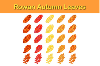 Autumn Rowan Leaf