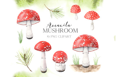 Watercolor Amanita Mushrooms PNG Clipart