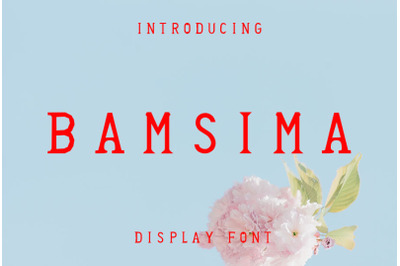 Bamsima