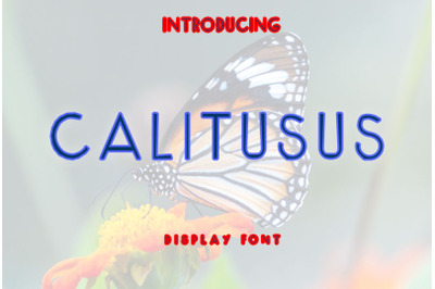 Calitusus