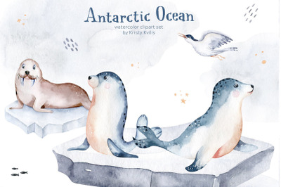 Watercolor seal, walrus clipart set. Polar tern, ice, stars, snowflake