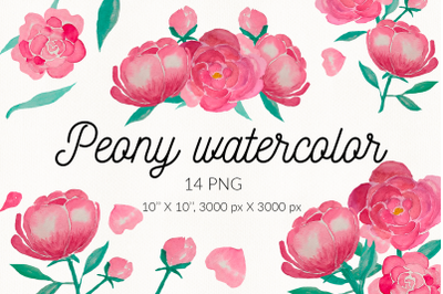 Peony watercolor clipart sublimation pink peony png. Watercolor flower