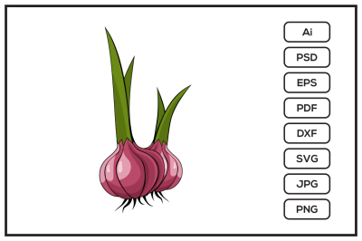 Onion design illustration