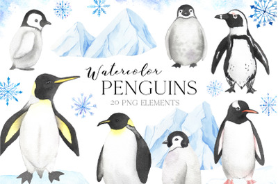 Watercolor Penguin Animals Clipart